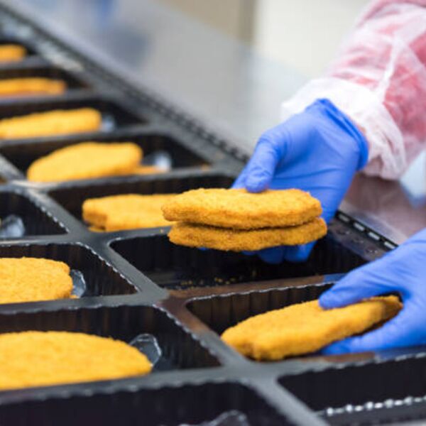 Safe Food Handling Thumbnail